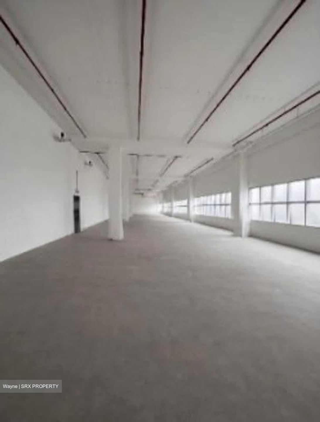 Bendemeer Road (D12), Factory #617497041